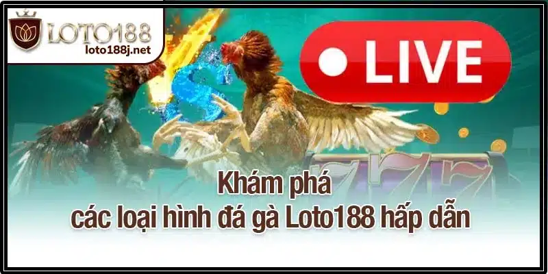Khám phá các loại hình đá gà Loto188 hấp dẫn 