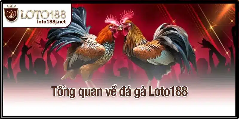 Tổng quan về đá gà Loto188